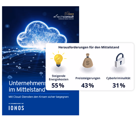 new-techconsult-studie-infografik